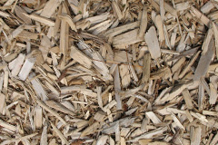 biomass boilers Molescroft